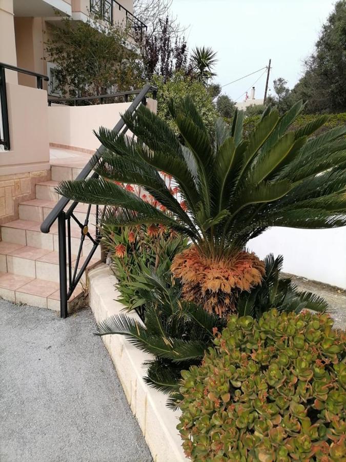 Kydoni Apartments And Studios Agia Marina  Exterior photo